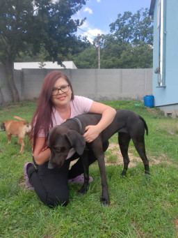 @zivot-je-nicoolka Nikola 