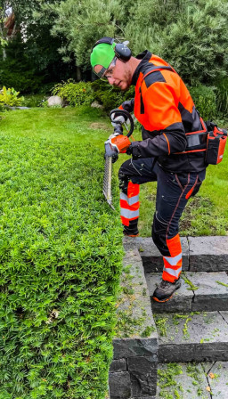 @jdgz Václav Pištora | PVJ GROUP