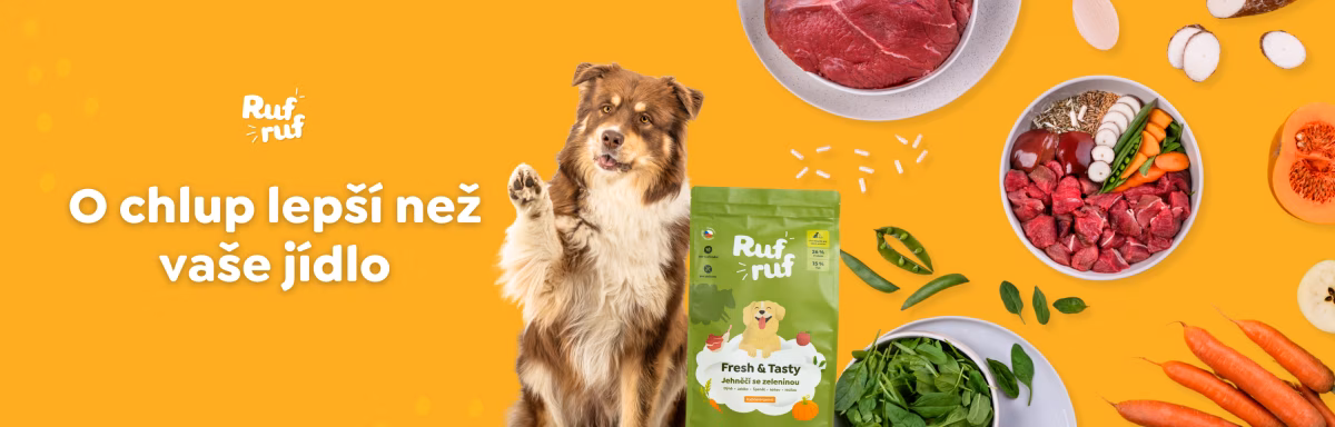 🐶🐾 Máte doma psa? Hledáme právě vás. | Rufruf
