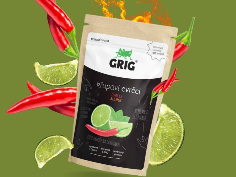 🌱🐜 Hledáme nadšence zdravého životního stylu a odvážné jedlíky hmyzu! 🌱🐜