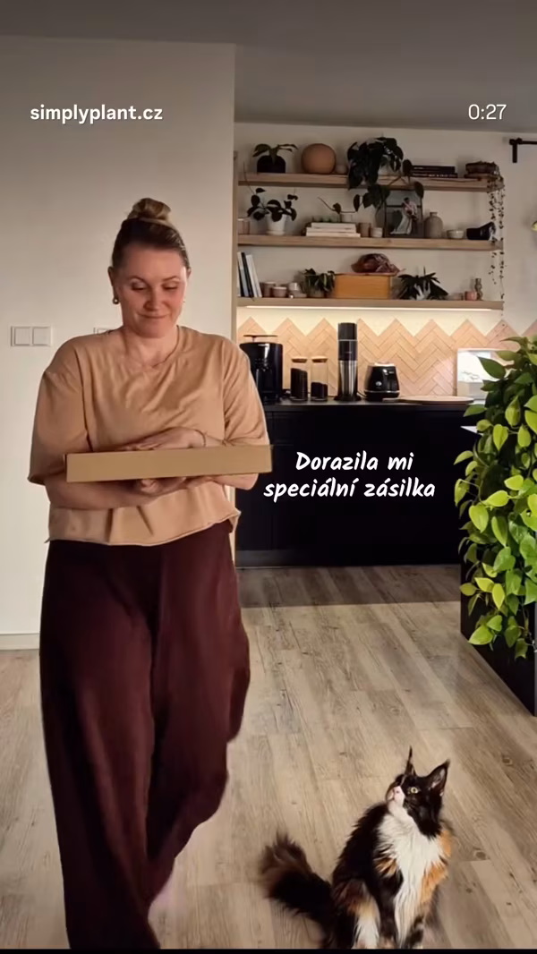 Simona Bratršovská