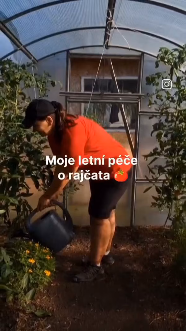 Andrea Holá