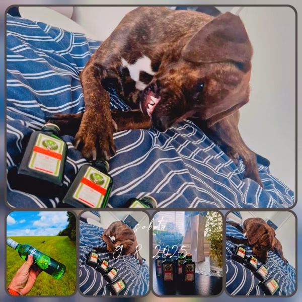 Klára Janelová, portfolio cestování influencer