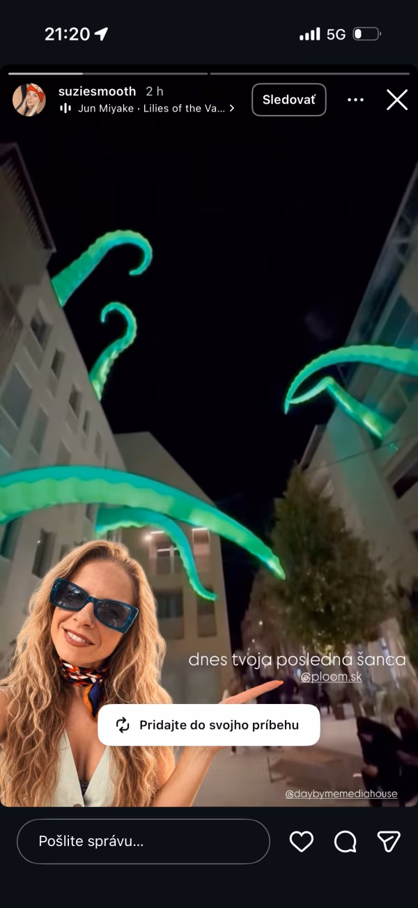Zuzana Kyseľ, portfolio art influencer