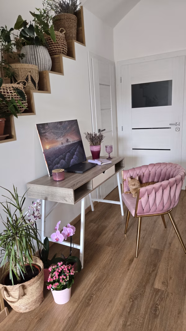 Katarína Šprincova, portfolio akce influencer