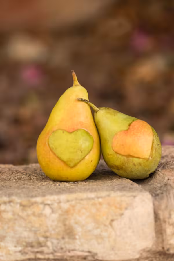 cesta-k-veganstvi